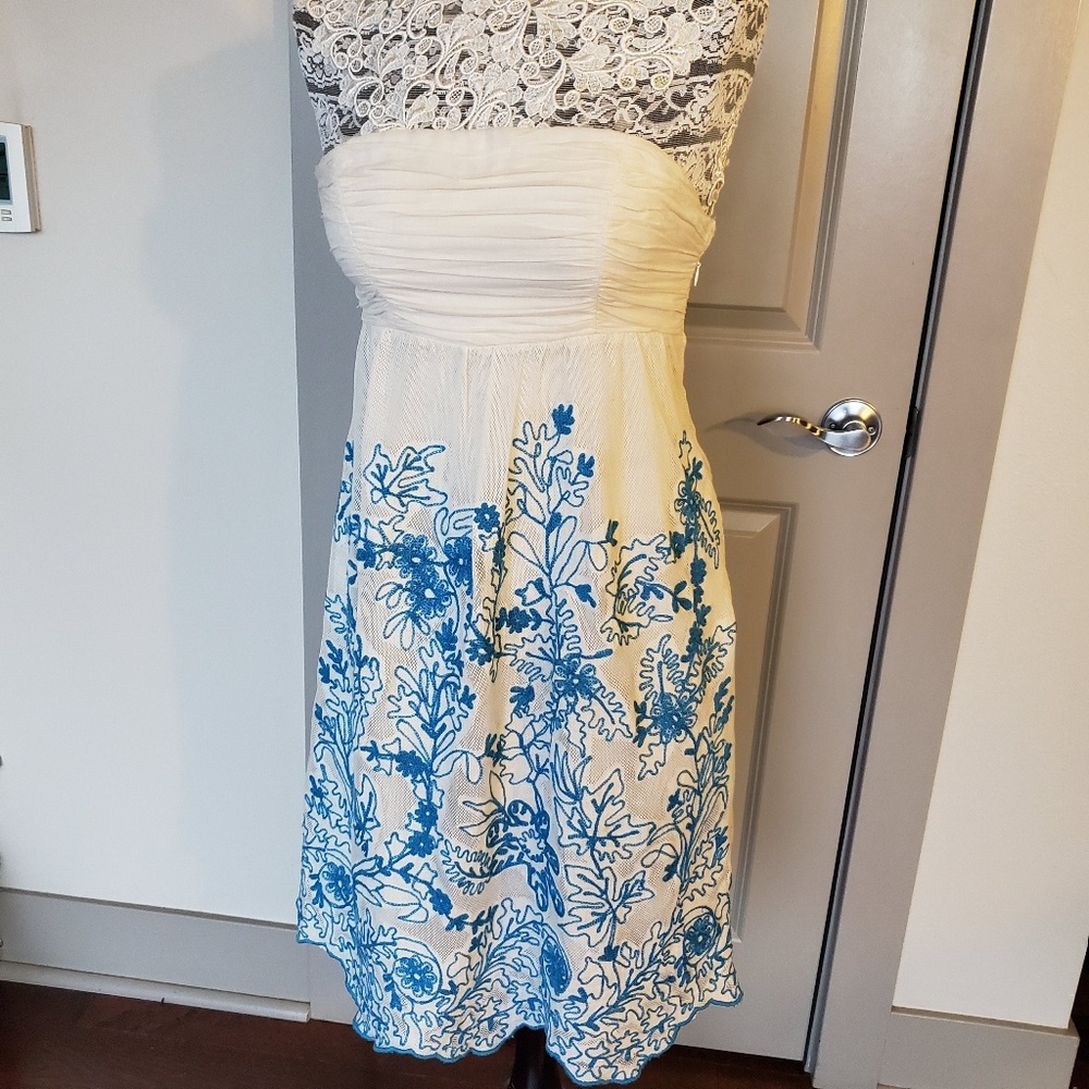 Anthropologie Cornflower Dress